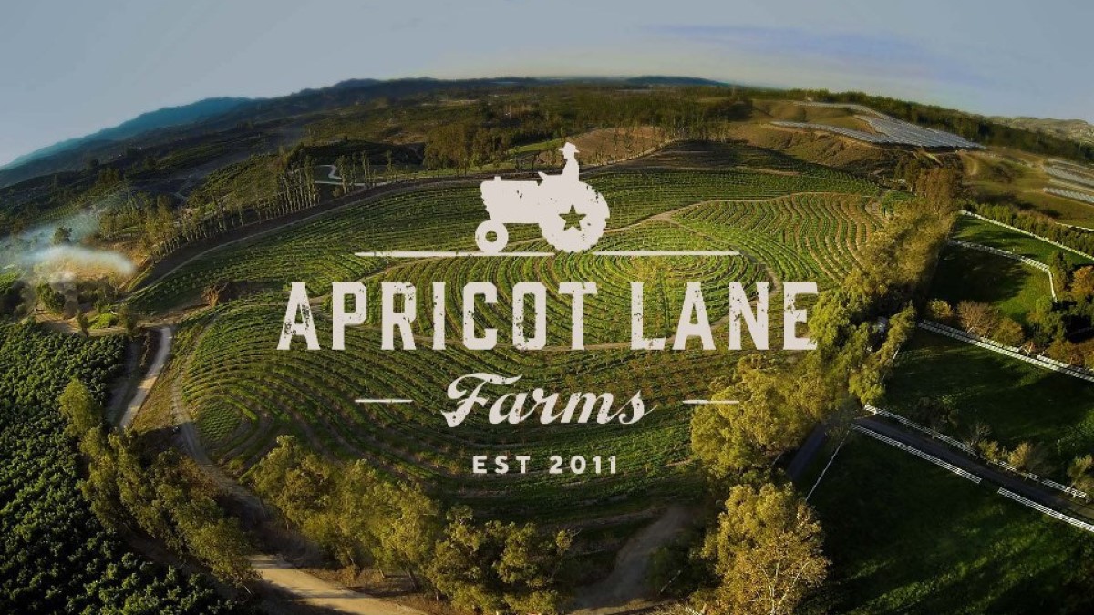 Apricot Lane Farms Shorts