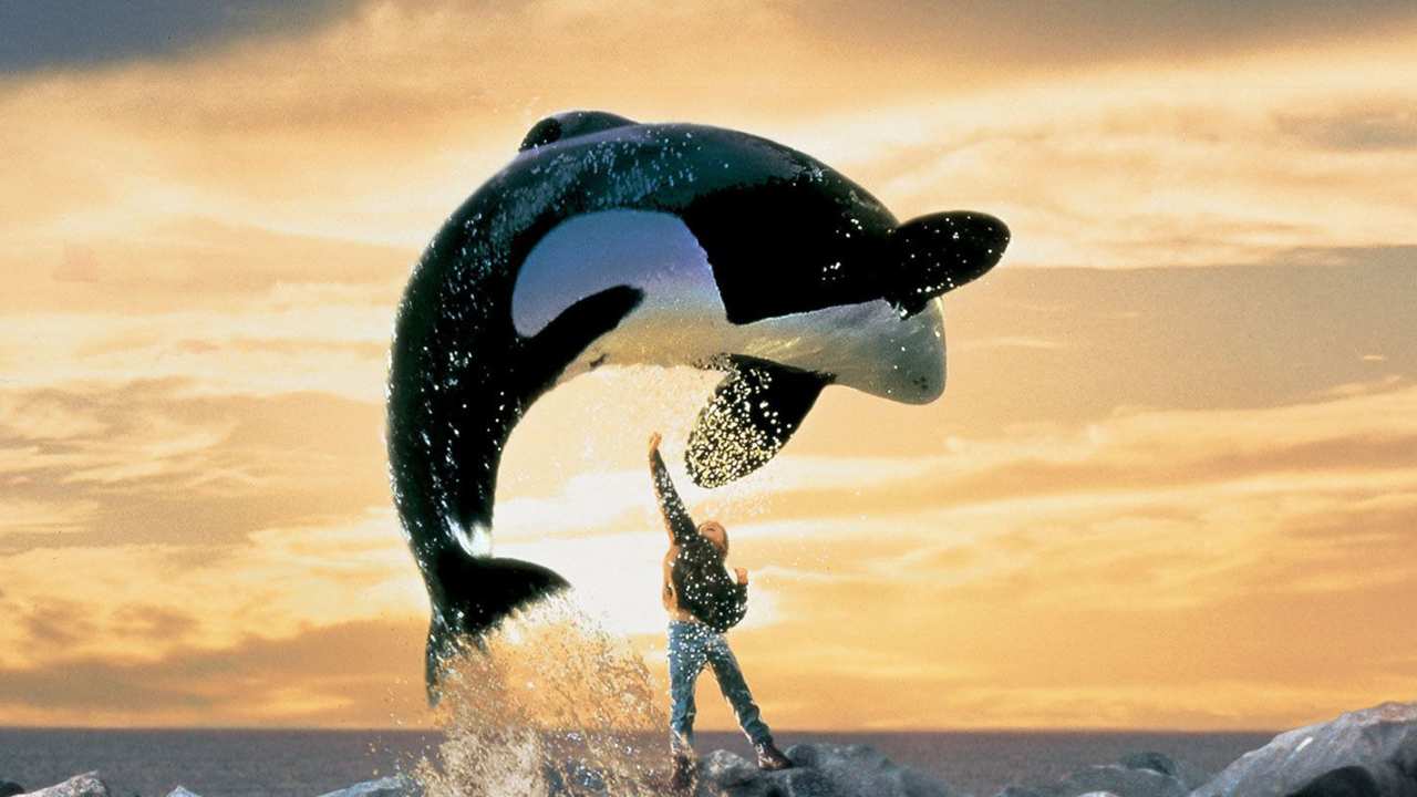 a boy and a whale