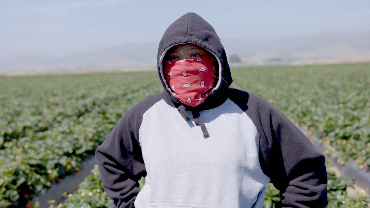 Woman in farm field with bandana across her face