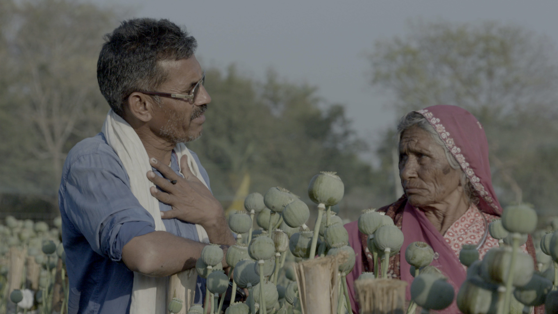 Film still from I, Poppy