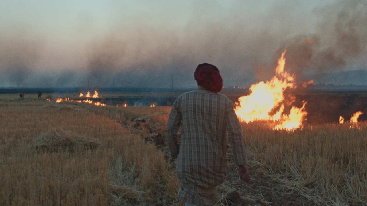 a person in front of a field with fire