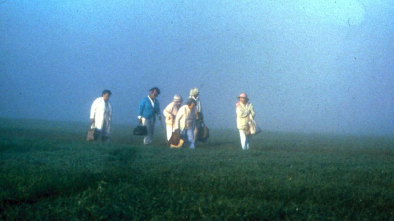 group of people walking across a field
