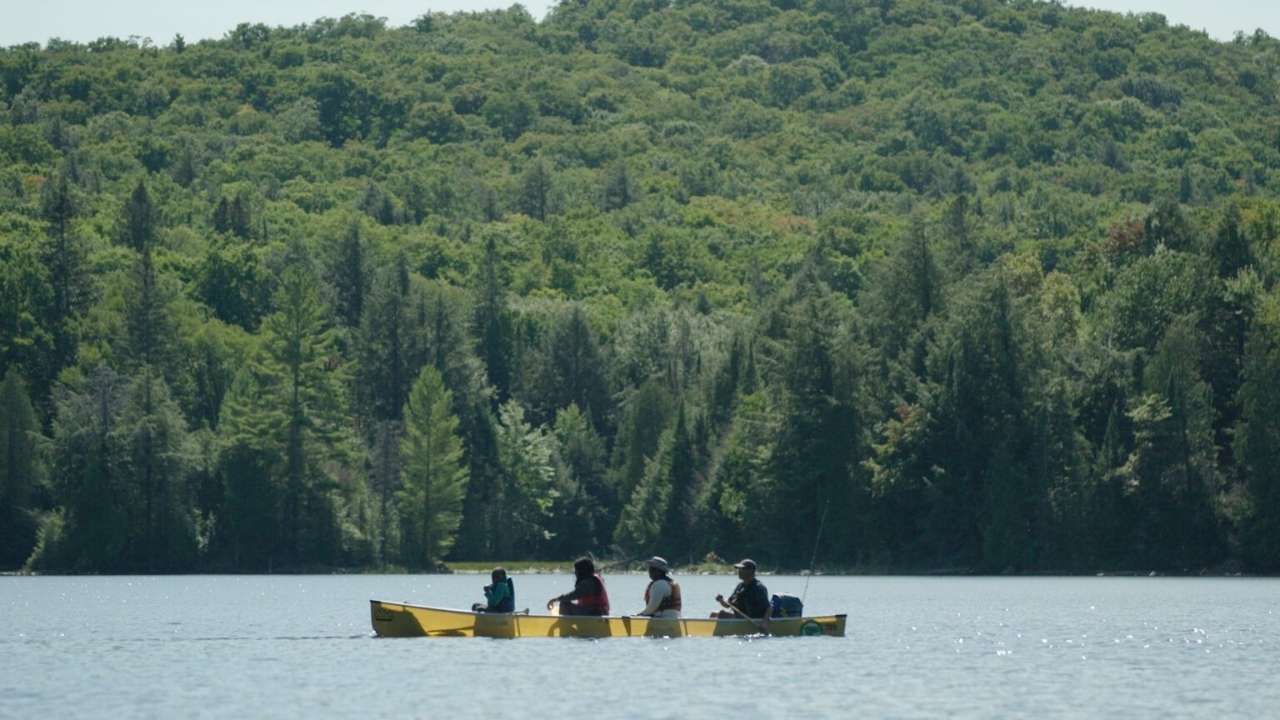group of people canoeing